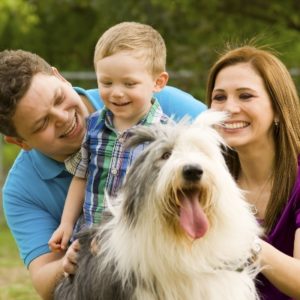 Cool Stuff - Customer feedback | Crown Relocations