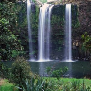 Moving to Whangarei New Zealand | Crown Relocations