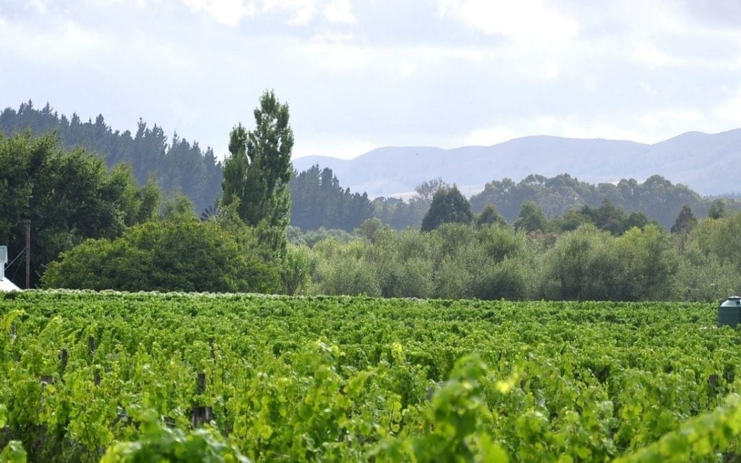 Retiring to Wairarapa