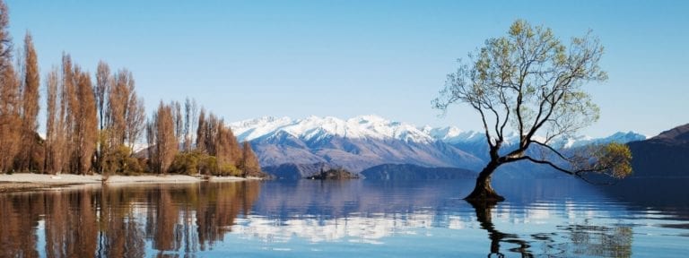 Moving to Wanaka, New Zealand? | Crown Relocations