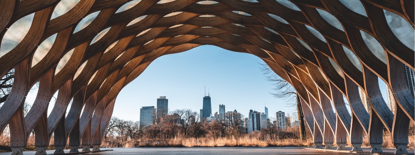 Why Lincoln Park Is One of the Best Places to Live in Chicago