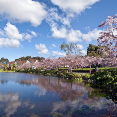 Palmerston North static