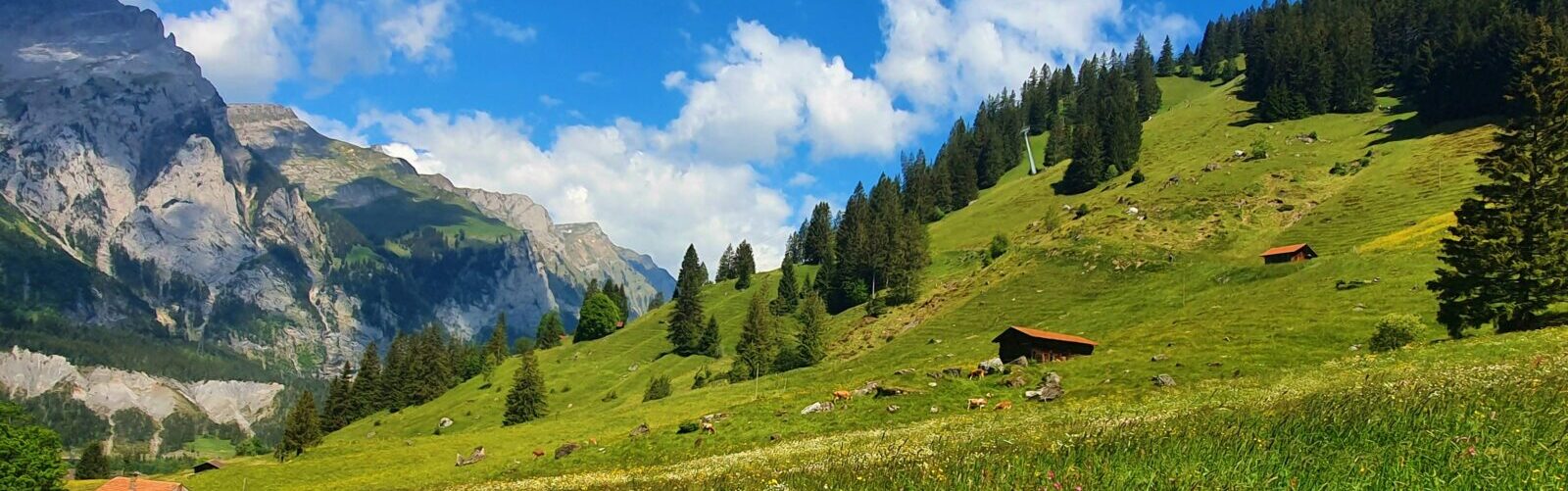 Moving To Switzerland From New Zealand Crown Relocations NZ