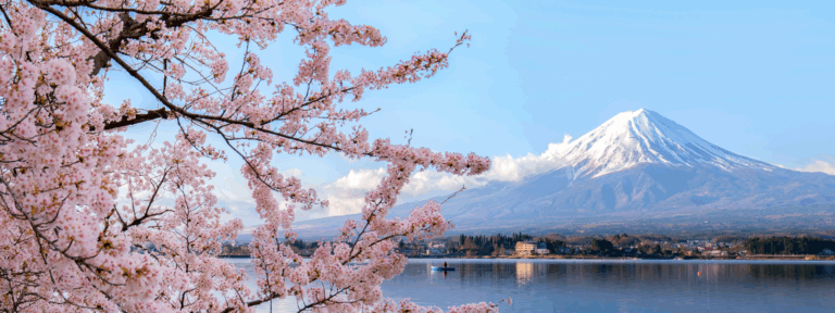 Moving from New Zealand to Japan: What You Need to Know | Crown Relocations NZ Blog