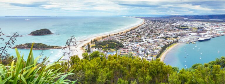 Auckland to Tauranga Moves | Crown Relocations NZ Blog