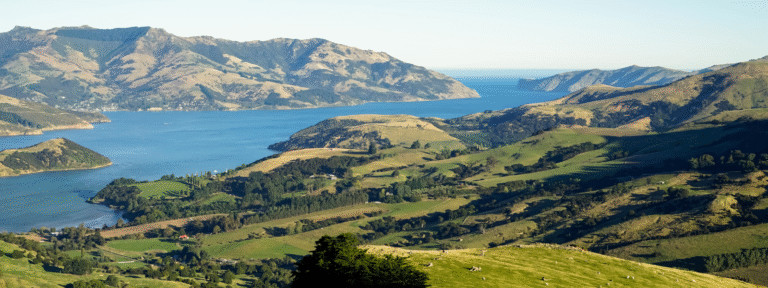 NZ Immigration weekly update: May 28 | Crown World Mobility
