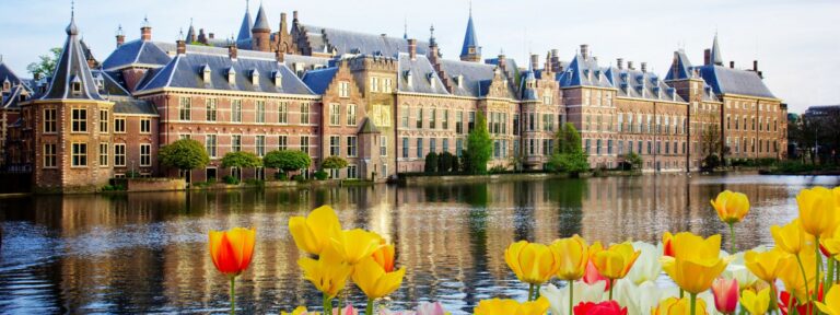 Moving to the Netherlands from New Zealand Guide