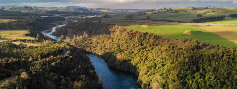 Moving to the Waikato Region | Crown Relocations NZ Blog