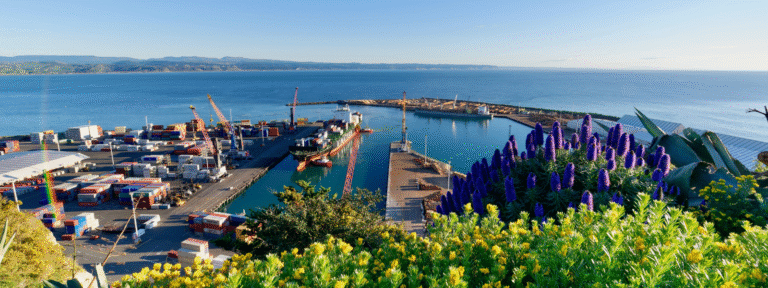 NZ Immigration weekly update | Crown World Mobility NZ