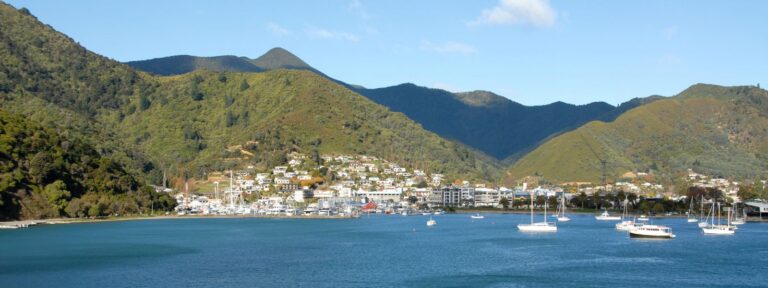 Moving from Wellington to Nelson: What You Need to Know | Crown Relocations NZ Blog