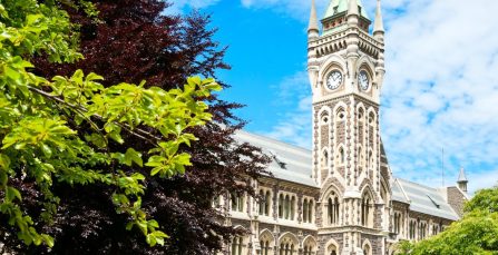 NZ Immigration Update July 13th | Crown World Mobility NZ