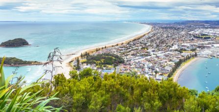 Auckland to Tauranga Moves | Crown Relocations NZ Blog