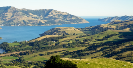 NZ Immigration weekly update: May 28 | Crown World Mobility
