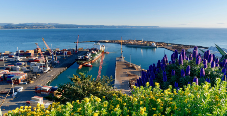 NZ Immigration weekly update | Crown World Mobility NZ