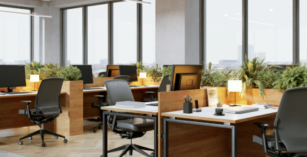 Green office or green bluff: What actually makes an office “green”? | Crown Workspace NZ