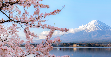 Moving from New Zealand to Japan: What You Need to Know | Crown Relocations NZ Blog
