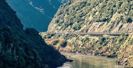 Wellington to Palmerston North: A Practical Moving Guide | Crown Relo NZ Blog