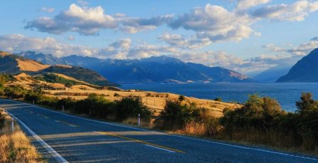 Preparing for Long Distance Moves in New Zealand | Crown Relocations NZ Blog