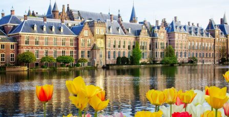 Moving to the Netherlands from New Zealand Guide