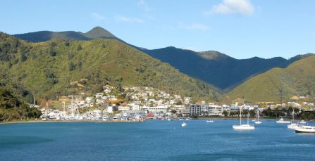 Moving from Wellington to Nelson: What You Need to Know | Crown Relocations NZ Blog