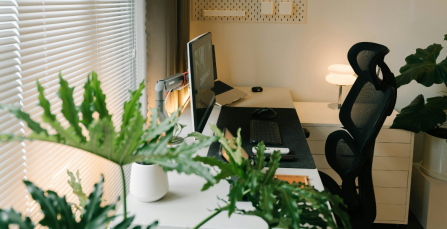 Are remote setups beating the office in terms of tech and comfort? | Crown Workspace NZ