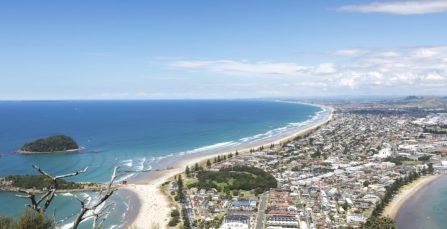 5 Reasons You Will Want To Live In Tauranga | Crown Relocations