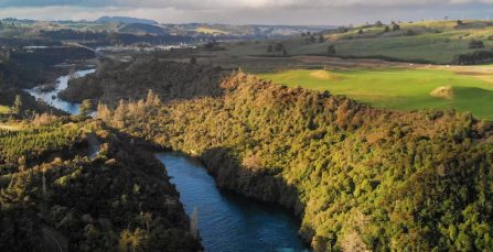 Moving to the Waikato Region | Crown Relocations NZ Blog